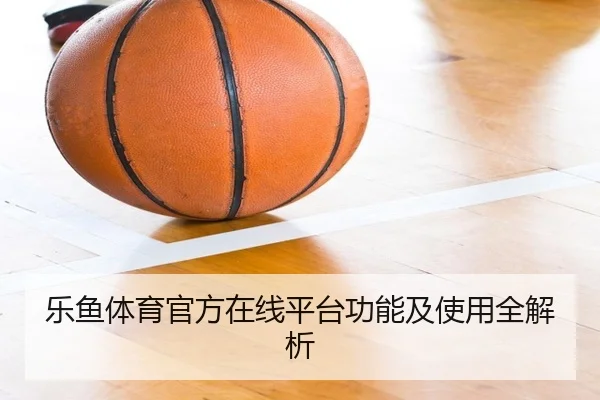 乐鱼体育官方在线平台功能及使用全解析